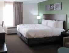 1 King Bed, Suite