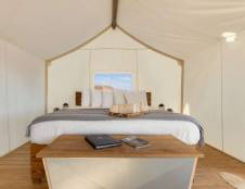 Suite Tent - 1 King & 1 Queen Sofa Sleeper