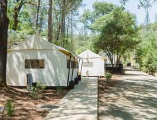 Luxury Tent - Accessible - Shared Bathroom - 1 King