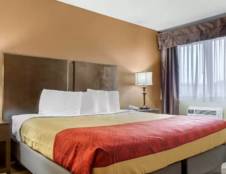 Standard Rooms - 1 King or 2 Queens