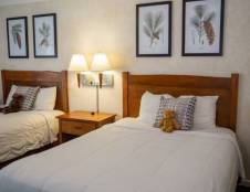 Classic Mountain View Two Queen Beds