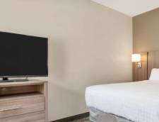 Suite 2 King 1 Queen Beds