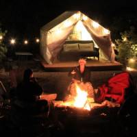 Glamping Tents