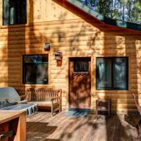 redwoods-in-yosemite-2N-2