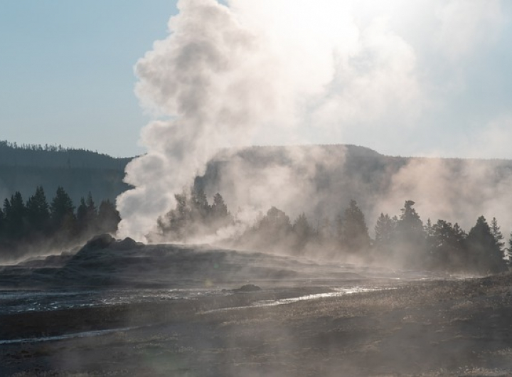 Geyser in Yellowstone National Park