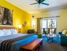 Lodge Rooms - 1 King & 1 Sofa Sleeper