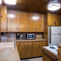 redwoods-in-yosemite-22B-3