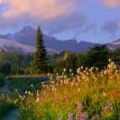 Hiking in Mount Rainier National Park