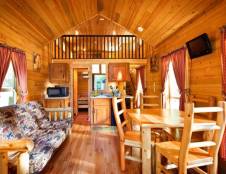 Grizzly Bear - 2 Queens, 1 Twin, 1 Sofa Bed & Twin/Queen Bunk Bed