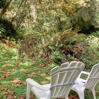 Stone Lagoon Cabin - Trinidad