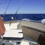 Fishing Charters