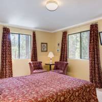 redwoods-in-yosemite-1-10