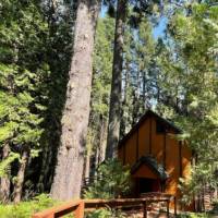 Fish Camp Cabin at Fish Camp