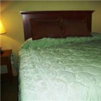 Glacier Park | Whitefish Mountain Resort | Morning Eagle, ME302 | Photo Gallery