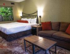 Superior Rooms - 1 King