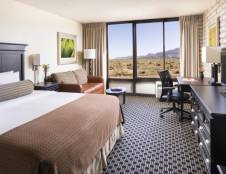 Standard King Guest Room (KNGN & KWCN)