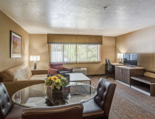 Presidential Suite - 1 King