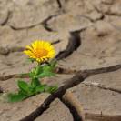  Death Valley's Unexpected Beauty