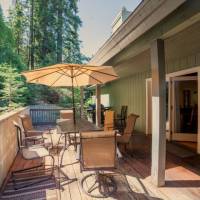 Sierra Blossom (Sierra Grand)