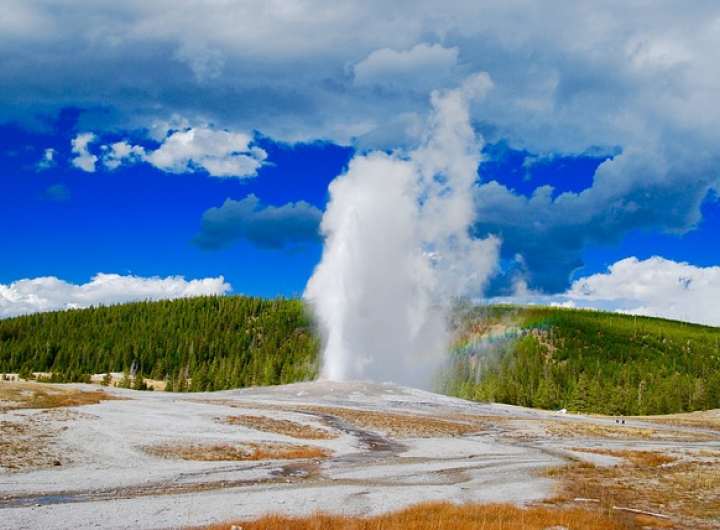 Geyser in Yellowstone National Park