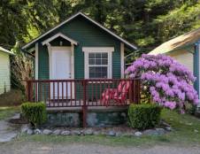 Cabin 11 - 1 Queen