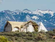 Suite with Kids Tent - 1 King, 1 Queen Sofa Sleeper & 2 Twins