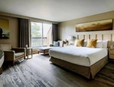 Woodland Balcony Room 1 King