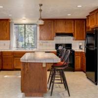 redwoods-in-yosemite-1-2