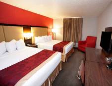 1 King Or 2 Queen Beds, Standard Rooms