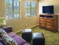 One Bedroom Bridgeview Suite