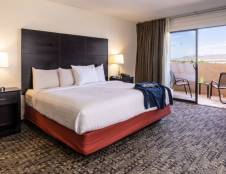 Junior Suite - 1 King & 1 Sofa Sleeper