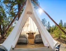 Suite with Kids Tent - 1 King, 1 Queen Sofa Sleeper & 2 Twins