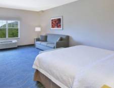 1 King Bed Mountain View with Sofa Bed