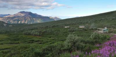 Denali Backcountry Adventure Tour