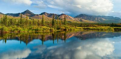 Denali Photo Guides - Denali Photo Excursion