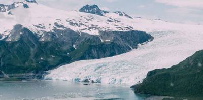 Bear Glacier Extended Tour