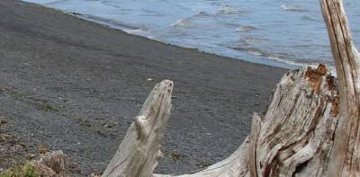 Resurrection Bay Hike