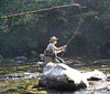 Yellowstone Fishing