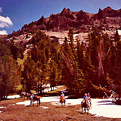 Overnight horseback trips in Yellowstone