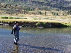 Fly Fishing Yellowstone