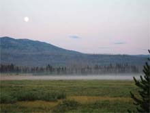 misty valley in Yellowstone park