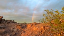 https://res.cloudinary.com/rock-n-hearts-inc/image/upload/c_scale,w_262/v1648569034/CanonPS/some%20where%20over%20the%20butte.jpg