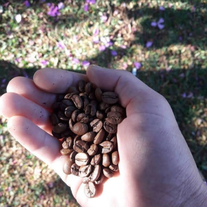 Café Supreme GRÃO 250g