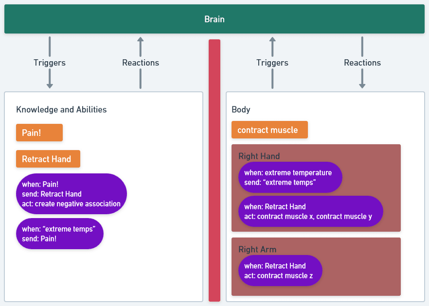 A flowchart with a large 'Brain' section at the top. Below the brain on the left side is a section titled 'Knowledge and Abilities'. Below the brain on the right side is a section titled 'Body'. The two sections are separated by a red barrier. They do not directly communicate with each other. Each section has bi-directional communication with the Brain. Knowledge and Abilities communicates with the brain by receiving triggers and sending reactions. Body communicates with the brain by sending triggers and receiving reactions. Knowledge and Abilities has two main items: 'Pain!' and 'Retract Hand'. It also has two other items, which define how it handles triggers. These latter two items are structured with up to three sections: when, send, and act. The first of these items has all three sections and it reads: 'When Pain! Send Retract Hand. Act by creating a negative association.' The other item creates a more contextual trigger. It reads: 'When extreme temps, send Pain!' The body section has its own abilities, but is mostly handlers. The body has the 'contract muscle' ability. The body has sub-sections titled Right Hand and Right Arm. The right hand has two items in the same 'when/send/act' structure as the brain. The first of these items reads: 'When extreme temperature, send extreme temps.' The latter reads: 'When Retract Hand, contract muscle x, contract muscle y.' The Right Arm section also has one of these items. It reads: 'When Retract Hand, contract muscle z.'