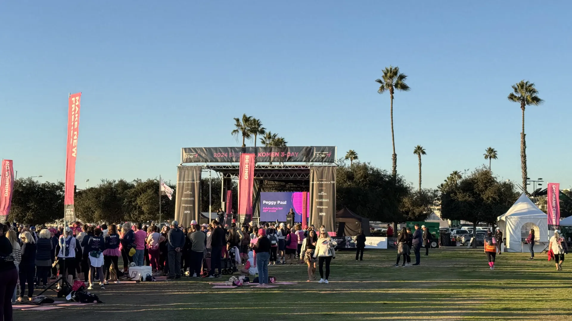 New Orleans Fried Chicken Festival live multi-stage