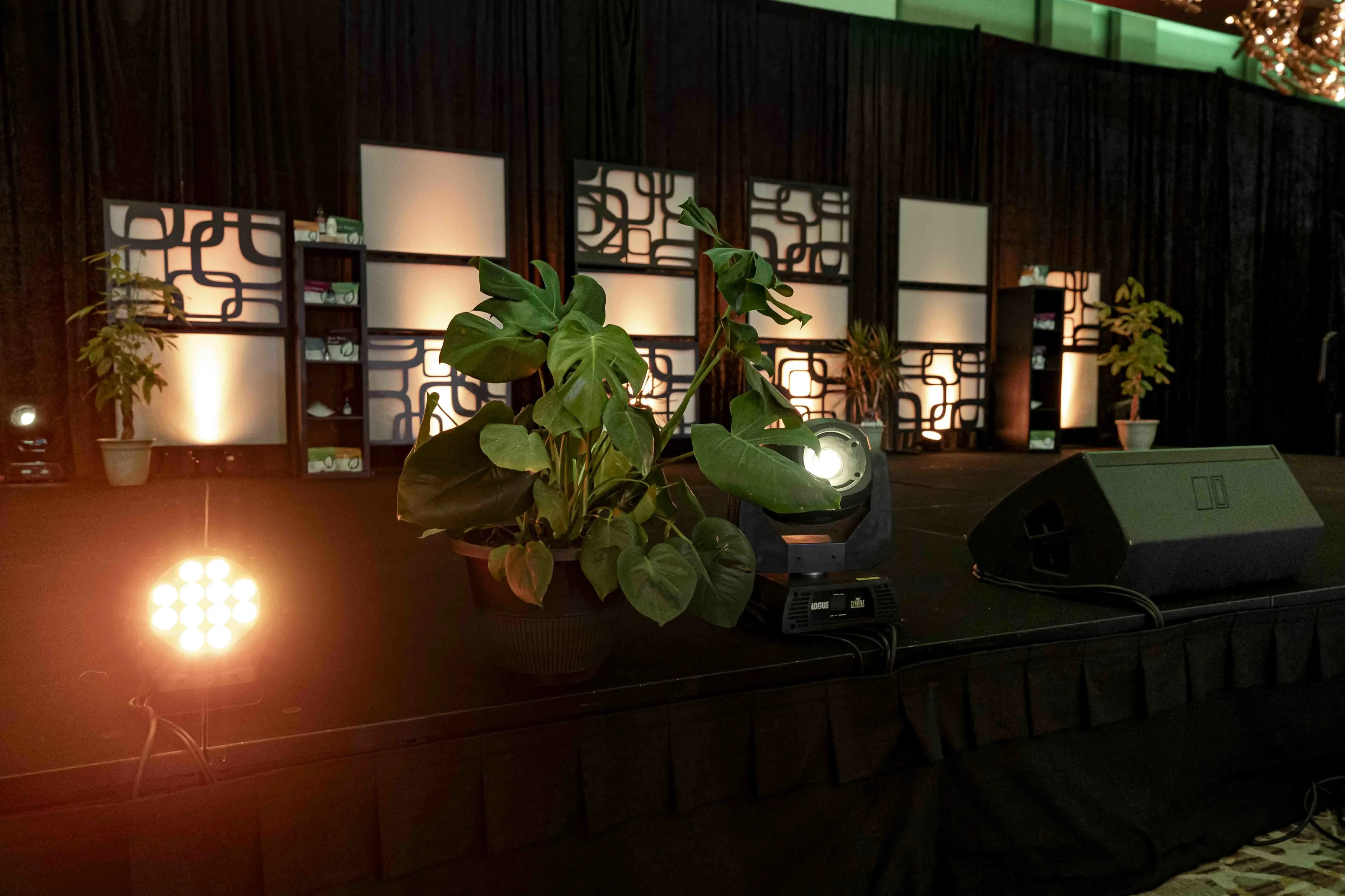 School band concert with professional lighting