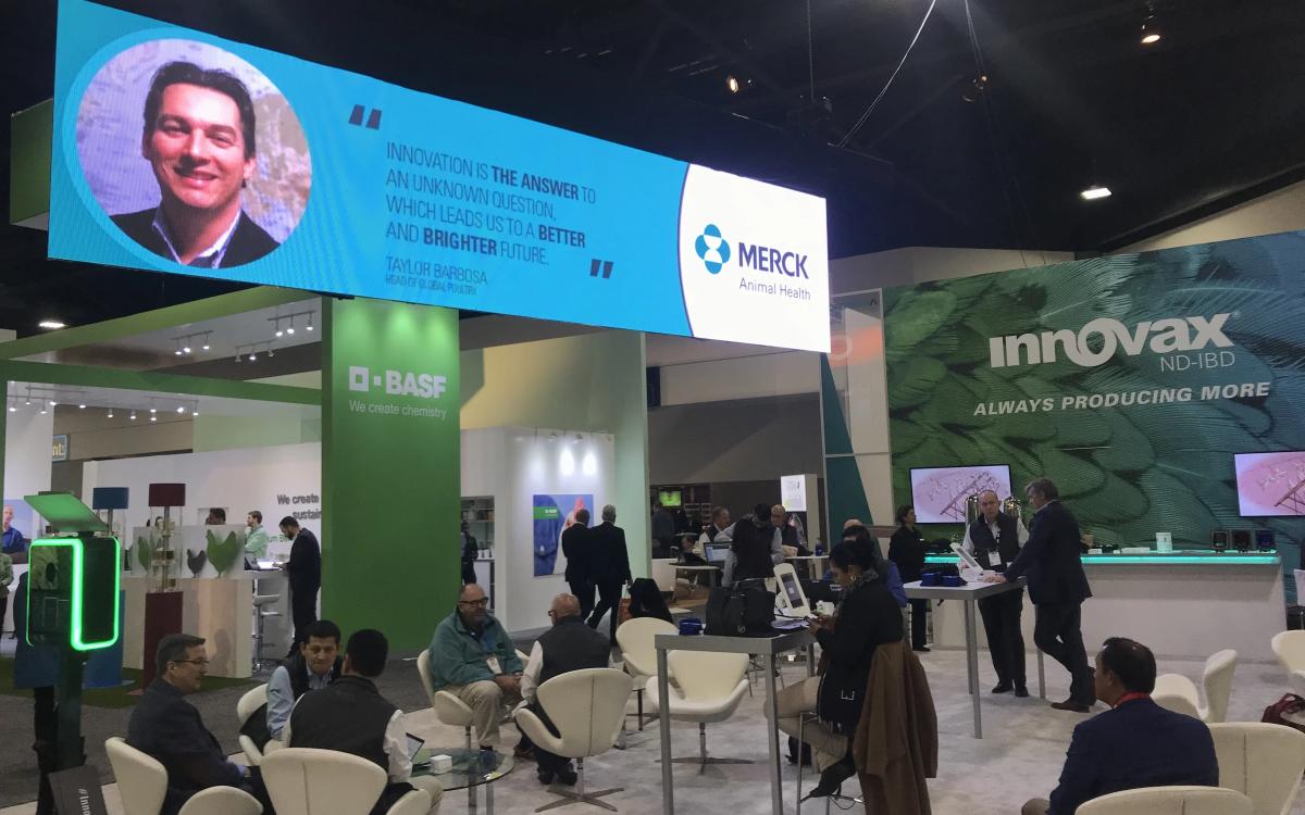 Corporate trade show exhibit booth with LED video wall