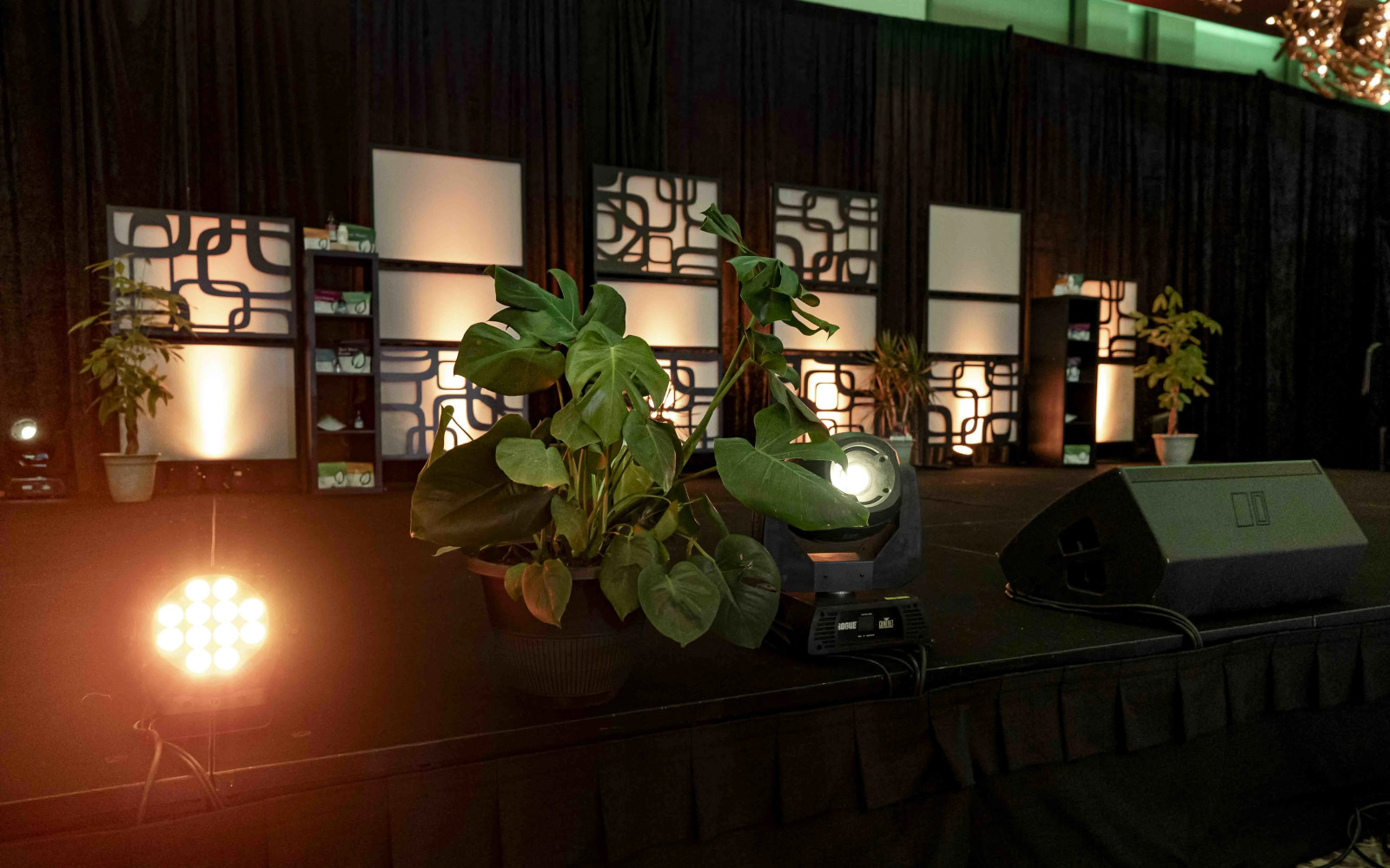 School band concert with professional lighting
