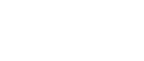 Bose logo