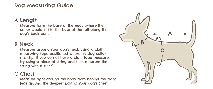 fur-fest-pet-festival-mangalore